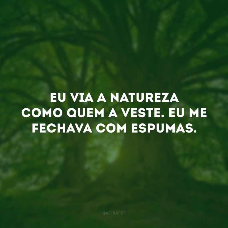 Eu via a natureza como quem a veste. Eu me fechava com espumas. 