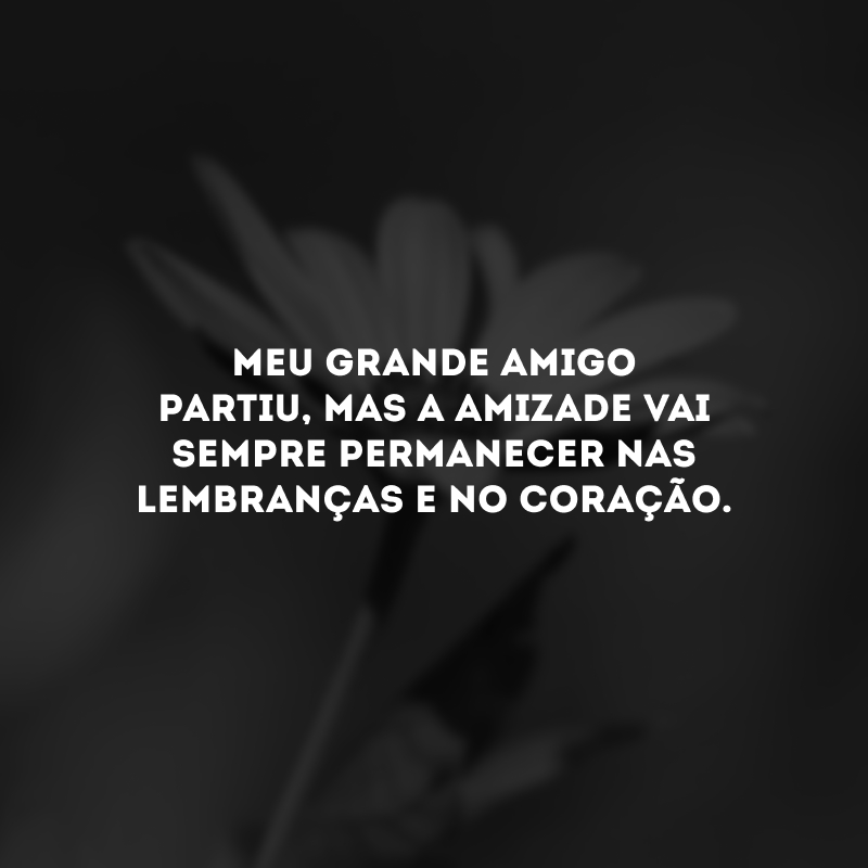 Meu grande amigo partiu, mas a amizade vai sempre permanecer nas lembranças e no coração.