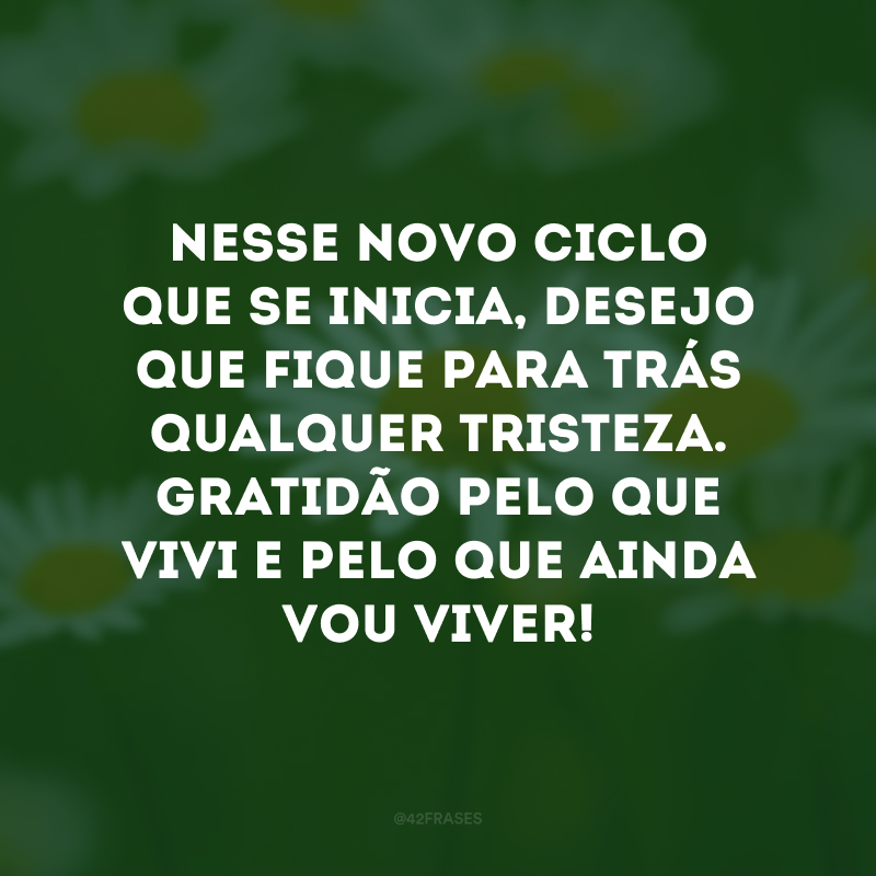 Nesse novo ciclo que se inicia, desejo que fique para trás qualquer tristeza. Gratidão pelo que vivi e pelo que ainda vou viver!