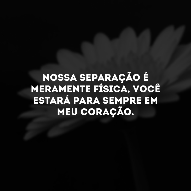 Nossa separação é meramente física, você estará para sempre em meu coração.