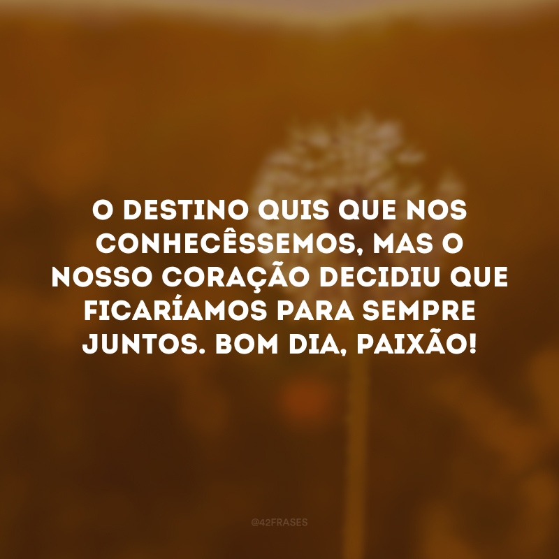 O destino quis que nos conhecêssemos, mas o nosso coração decidiu que ficaríamos para sempre juntos. Bom dia, paixão! 