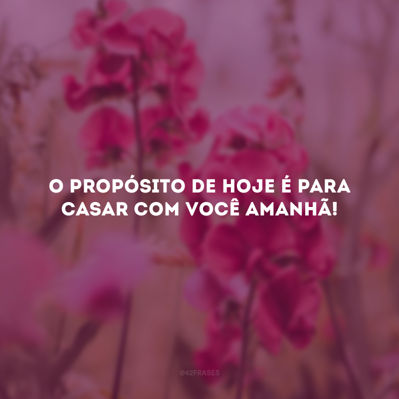 O propósito de hoje é para casar com você amanhã! 