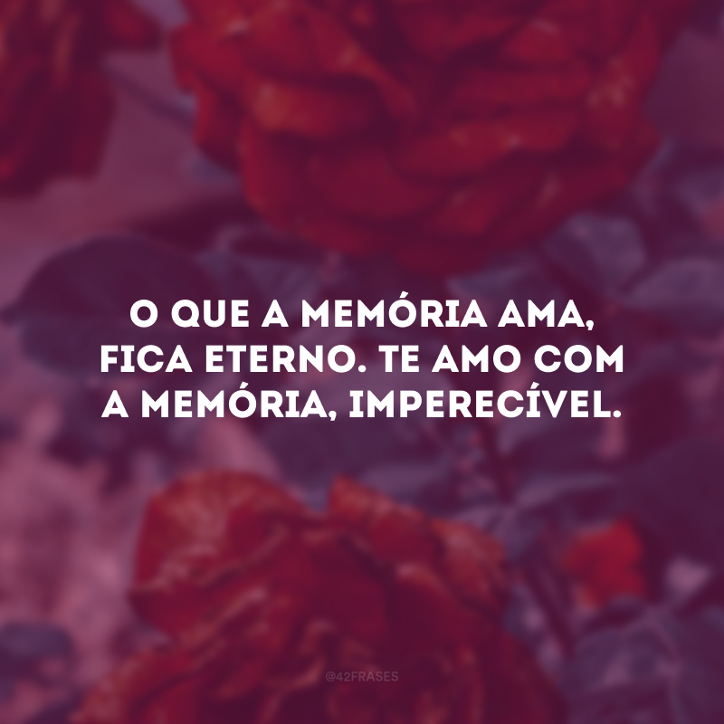 O que a memória ama, fica eterno. Te amo com a memória, imperecível.