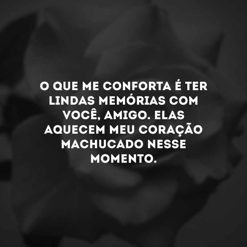 O que me conforta é ter lindas memórias com você, amigo. Elas aquecem meu coração machucado nesse momento.