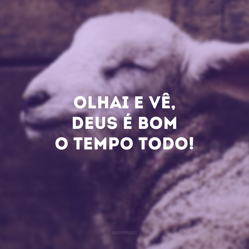 Olhai e vê, Deus é bom o tempo todo! 