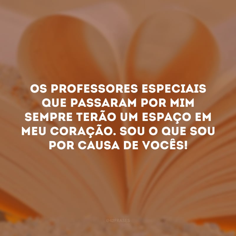 Os professores especiais que passaram por mim sempre terão um espaço em meu coração. Sou o que sou por causa de vocês!