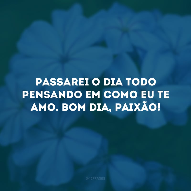 Passarei o dia todo pensando em como eu te amo. Bom dia, paixão!