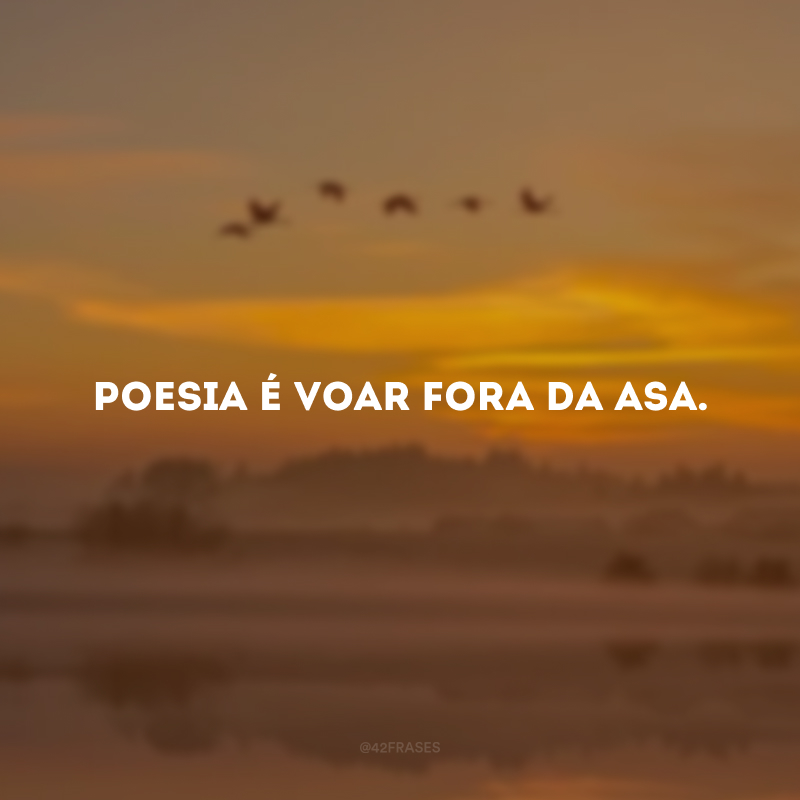 Poesia é voar fora da asa.