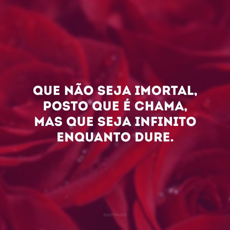 Eu possa me dizer do amor (que tive):
Que não seja imortal, posto que é chama
Mas que seja infinito enquanto dure.