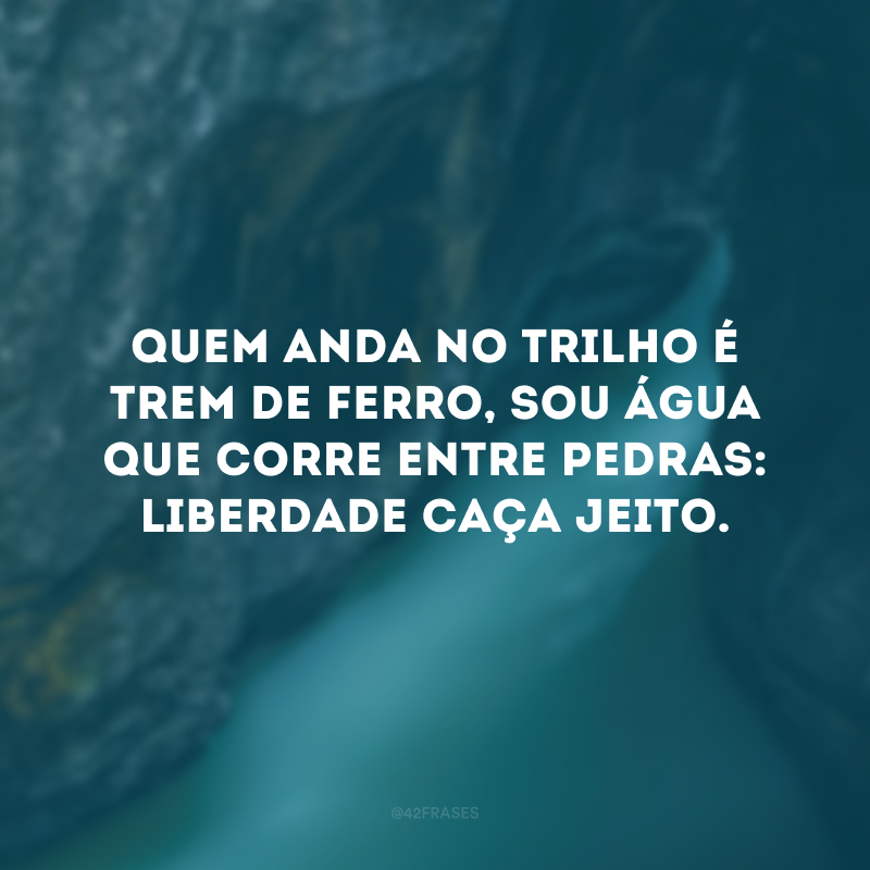 Quem anda no trilho é trem de ferro, sou água que corre entre pedras: liberdade caça jeito.