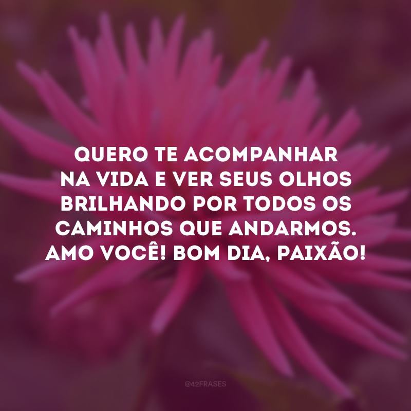 Quero te acompanhar na vida e ver seus olhos brilhando por todos os caminhos que andarmos. Amo você! Bom dia, paixão! 
