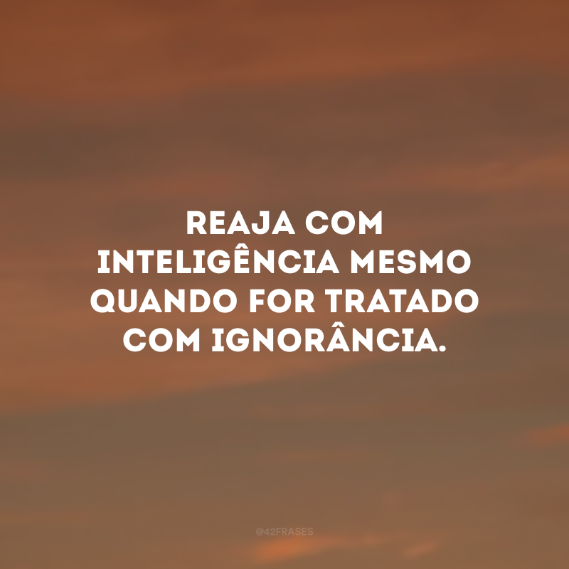 Reaja com inteligência mesmo quando for tratado com ignorância.