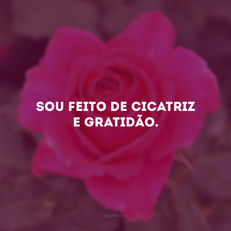 Sou feito de cicatriz e gratidão. 