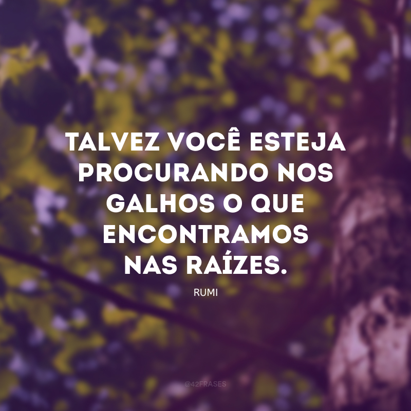 Talvez você esteja procurando nos galhos o que encontramos nas raízes. 