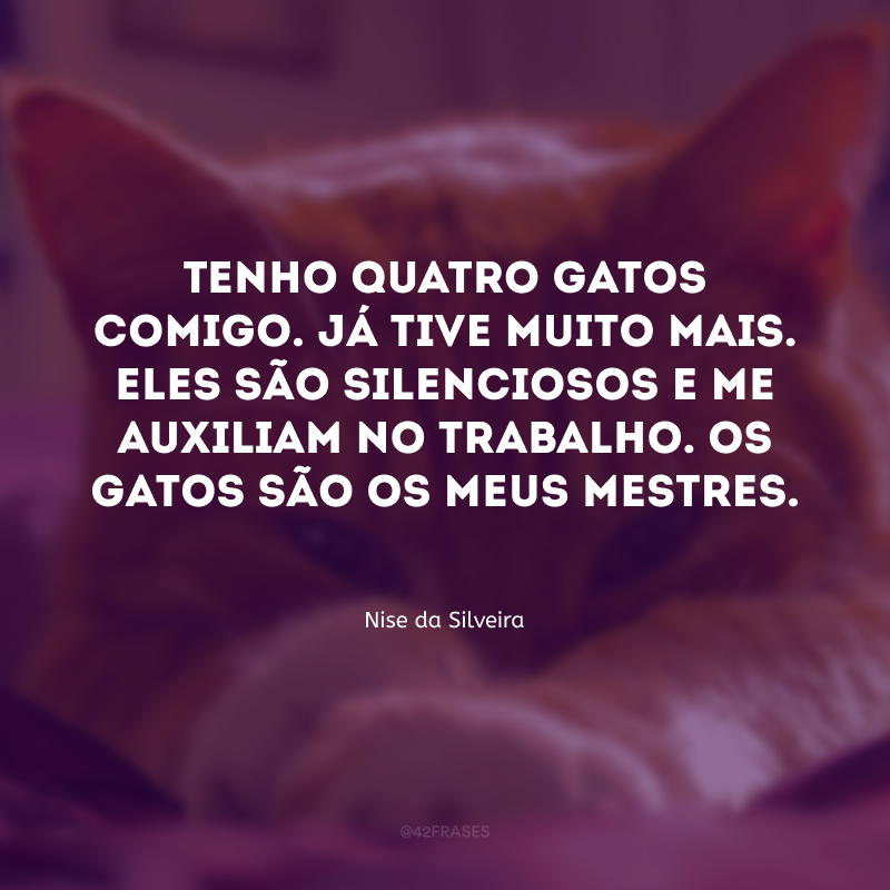 Tenho quatro gatos comigo. Já tive muito mais. Eles são silenciosos e me auxiliam no trabalho. Os gatos são os meus mestres.