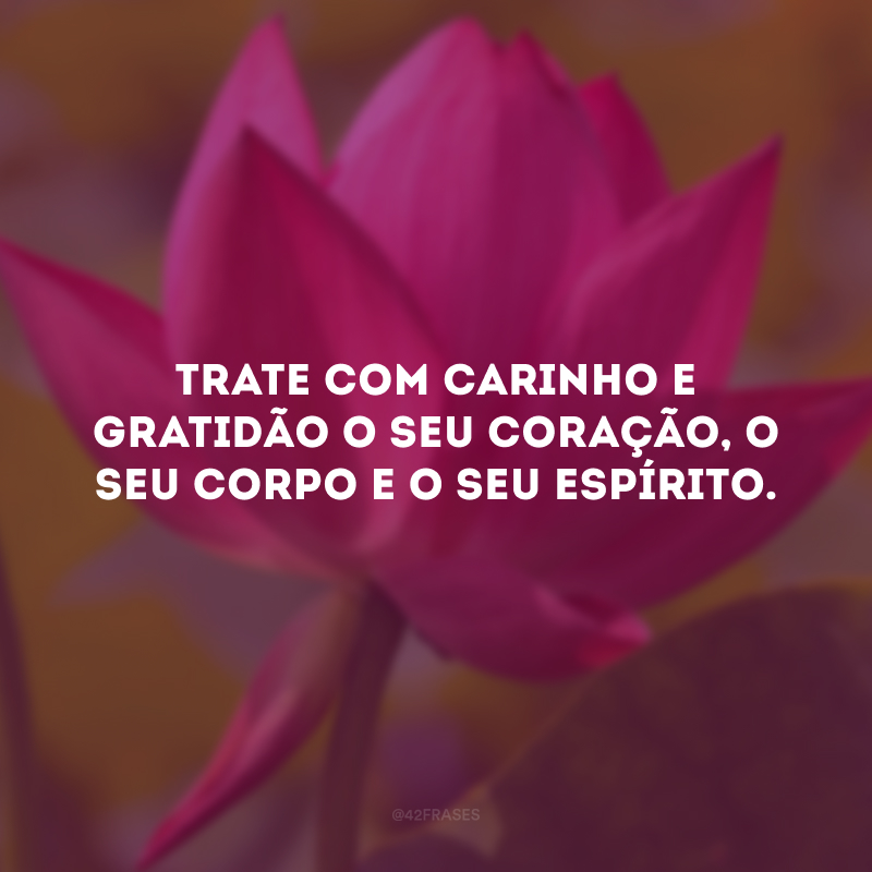 Trate com carinho e gratidão o seu coração, o seu corpo e o seu espírito.
