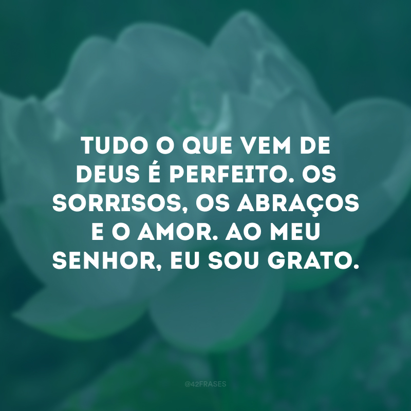 Tudo o que vem de Deus é perfeito. Os sorrisos, os abraços e o amor. Ao meu Senhor, eu sou grato.