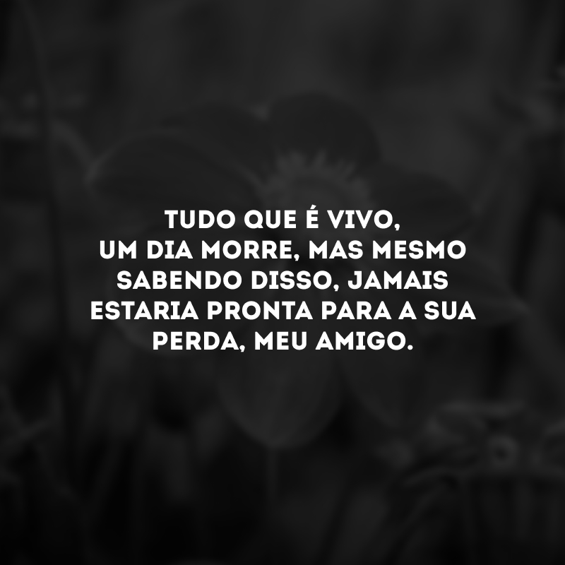 Tudo que é vivo, um dia morre, mas mesmo sabendo disso, jamais estaria pronta para a sua perda, meu amigo.