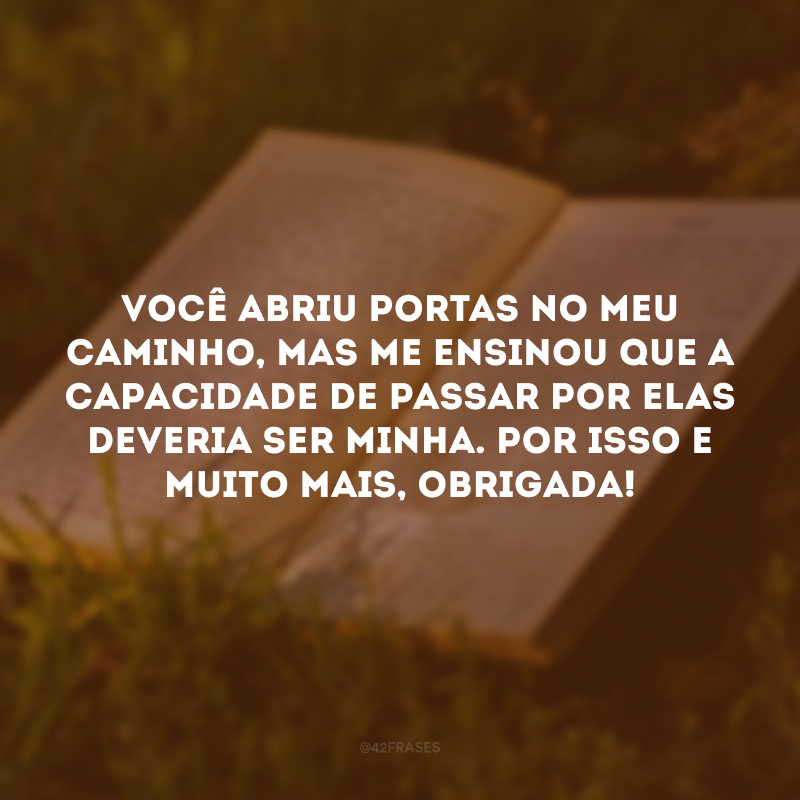 Você abriu portas no meu caminho, mas me ensinou que a capacidade de passar por elas deveria ser minha. Por isso e muito mais, obrigada!