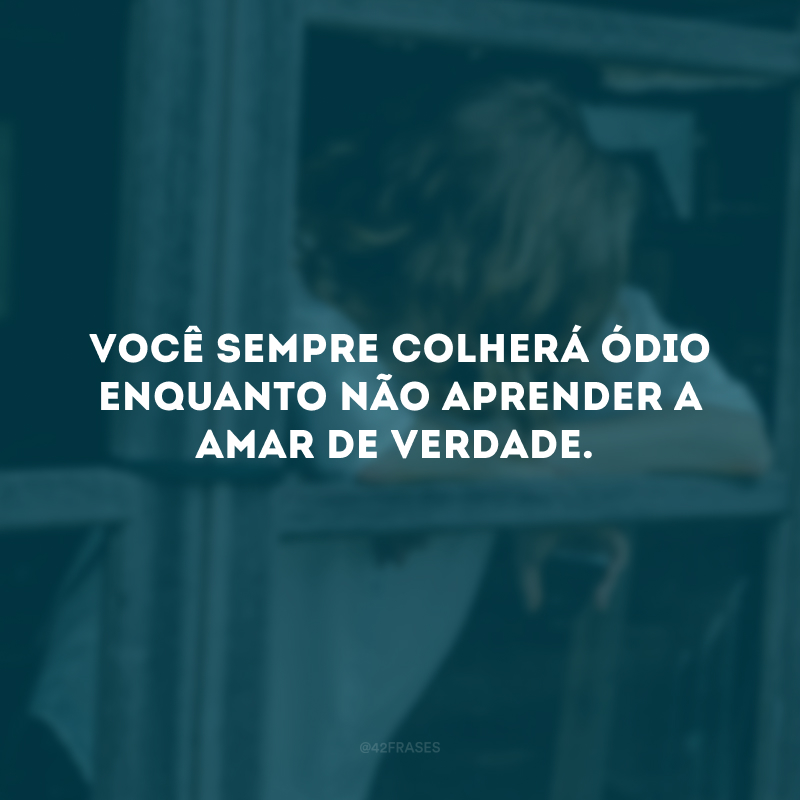 Você sempre colherá ódio enquanto não aprender a amar de verdade.
