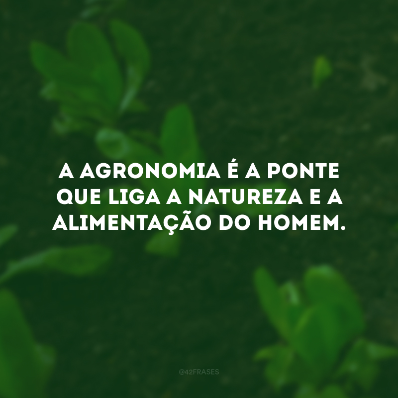 A agronomia é a ponte que liga a natureza e a alimentação do homem. 