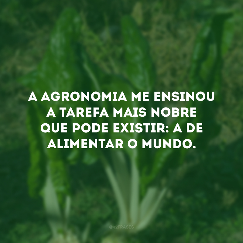 A agronomia me ensinou a tarefa mais nobre que pode existir: a de alimentar o mundo. 