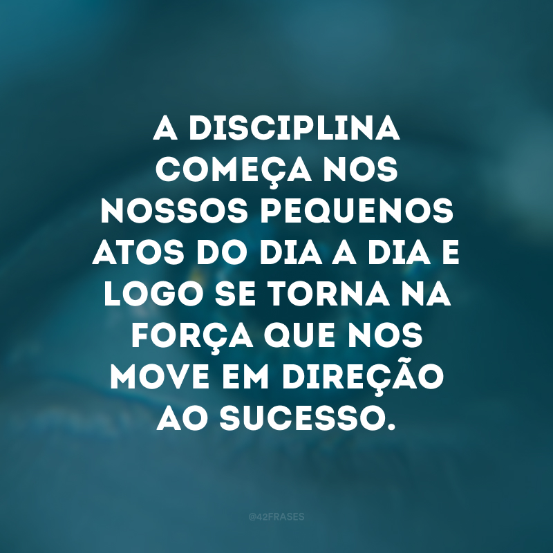 A disciplina começa nos nossos pequenos atos do dia a dia e logo se torna na força que nos move em direção ao sucesso. 