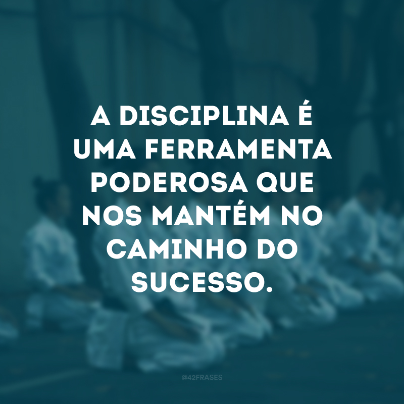 A disciplina é uma ferramenta poderosa que nos mantém no caminho do sucesso. 