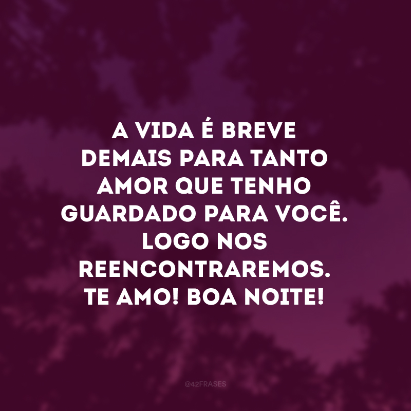 A vida é breve demais para tanto amor que tenho guardado para você. Logo nos reencontraremos. Te amo! Boa noite!