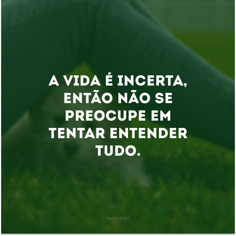 A vida é incerta, então não se preocupe em tentar entender tudo. 