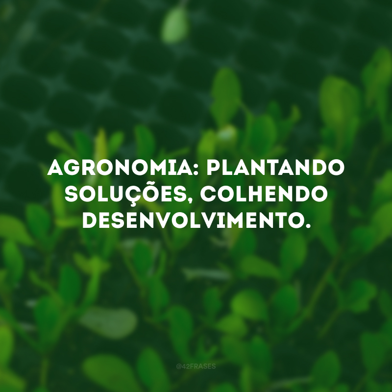 Agronomia: plantando soluções, colhendo desenvolvimento. 