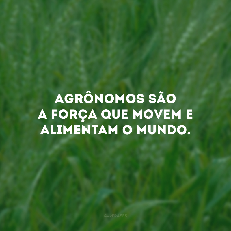 Agrônomos são a força que movem e alimentam o mundo. 