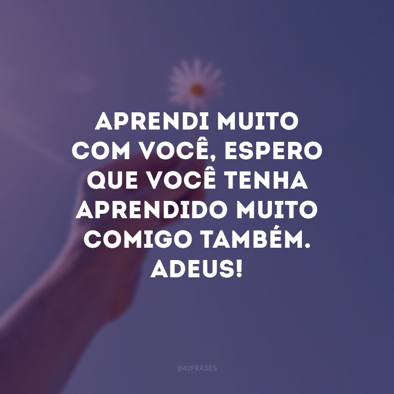 Aprendi muito com você, espero que você tenha aprendido muito comigo também. Adeus! 
