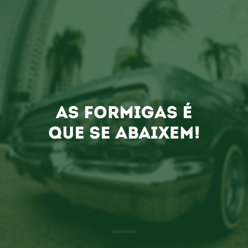 As formigas é que se abaixem!