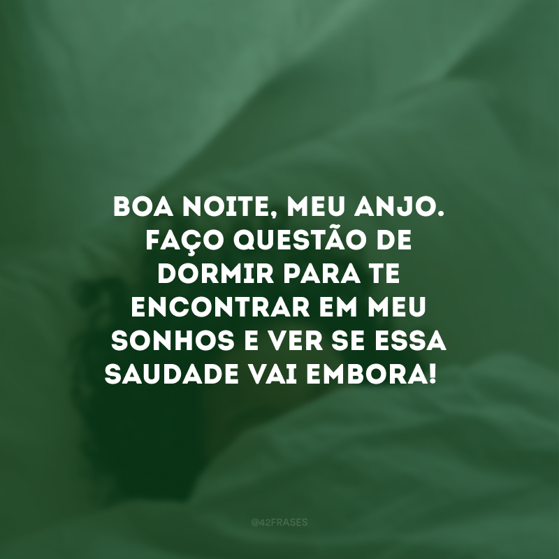 Boa noite, meu anjo. Faço questão de dormir para te encontrar em meu sonhos e ver se essa saudade vai embora! 
