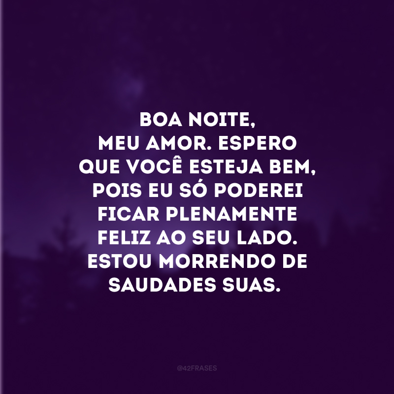 Boa noite, meu amor. Espero que você esteja bem, pois eu só poderei ficar plenamente feliz ao seu lado. Estou morrendo de saudades suas.
