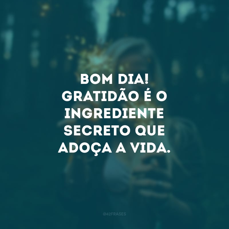 Bom dia! Gratidão é o ingrediente secreto que adoça a vida. 