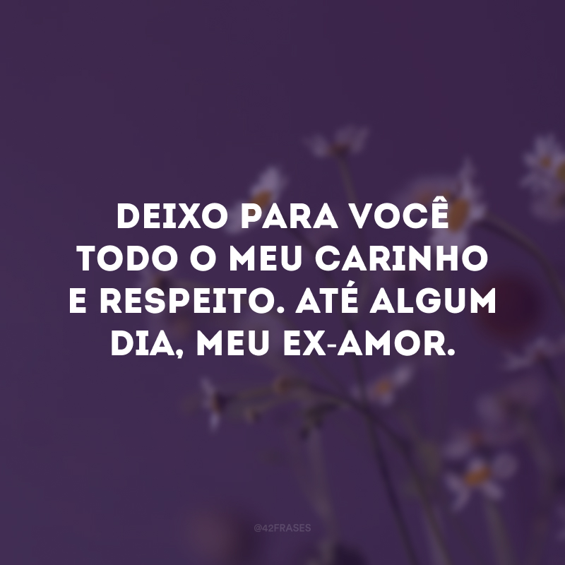 Deixo para você todo o meu carinho e respeito. Até algum dia, meu ex-amor.
