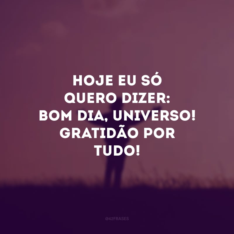 Hoje eu só quero dizer: bom dia, universo! Gratidão por tudo! 