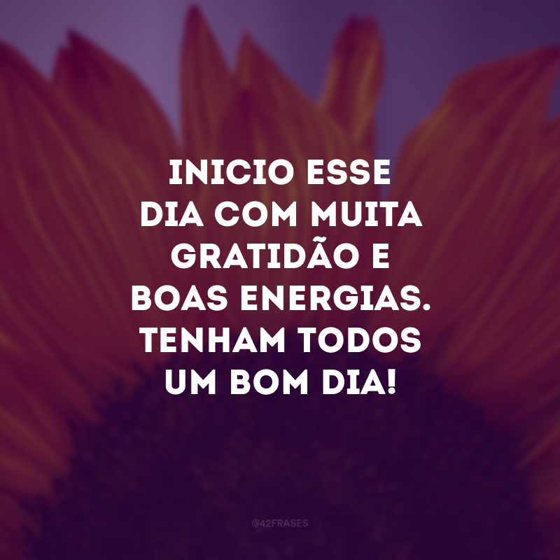 Inicio esse dia com muita gratidão e boas energias. Tenham todos um bom dia!