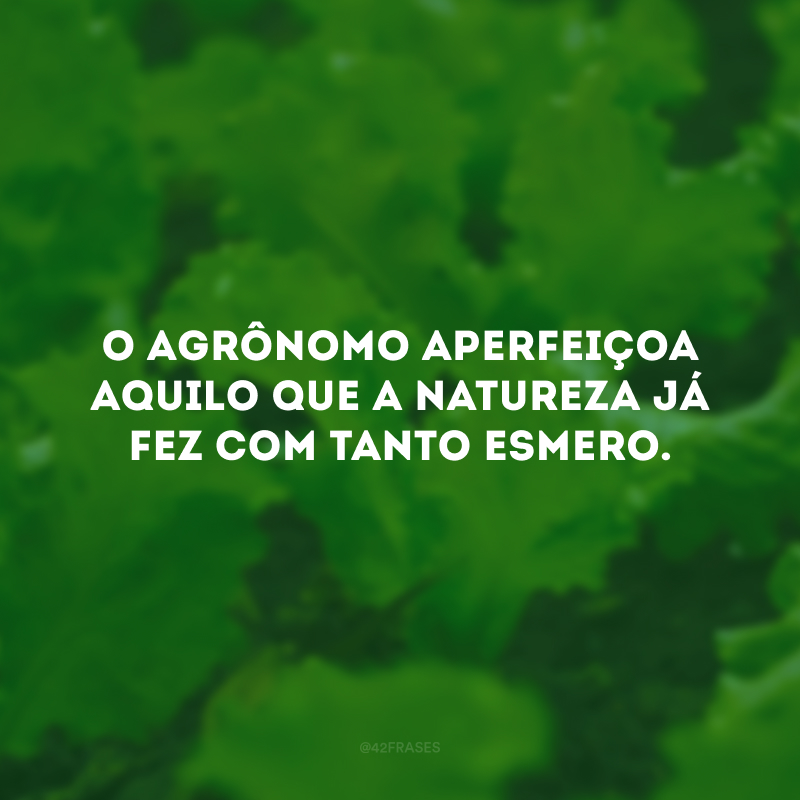 O agrônomo aperfeiçoa aquilo que a natureza já fez com tanto esmero. 