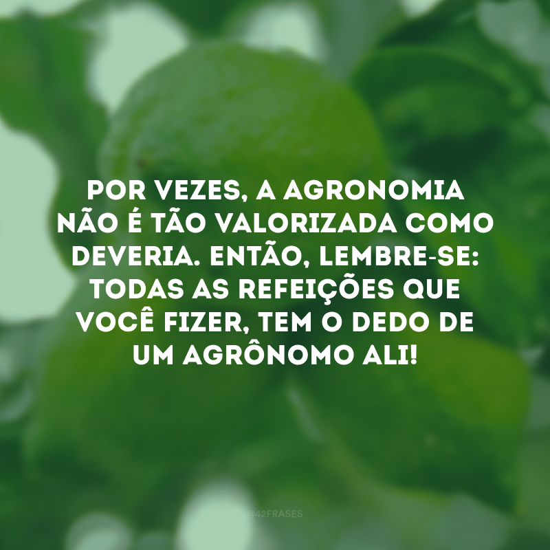 Por vezes, a agronomia não é tão valorizada como deveria. Então, lembre-se: todas as refeições que você fizer, tem o dedo de um agrônomo ali! 