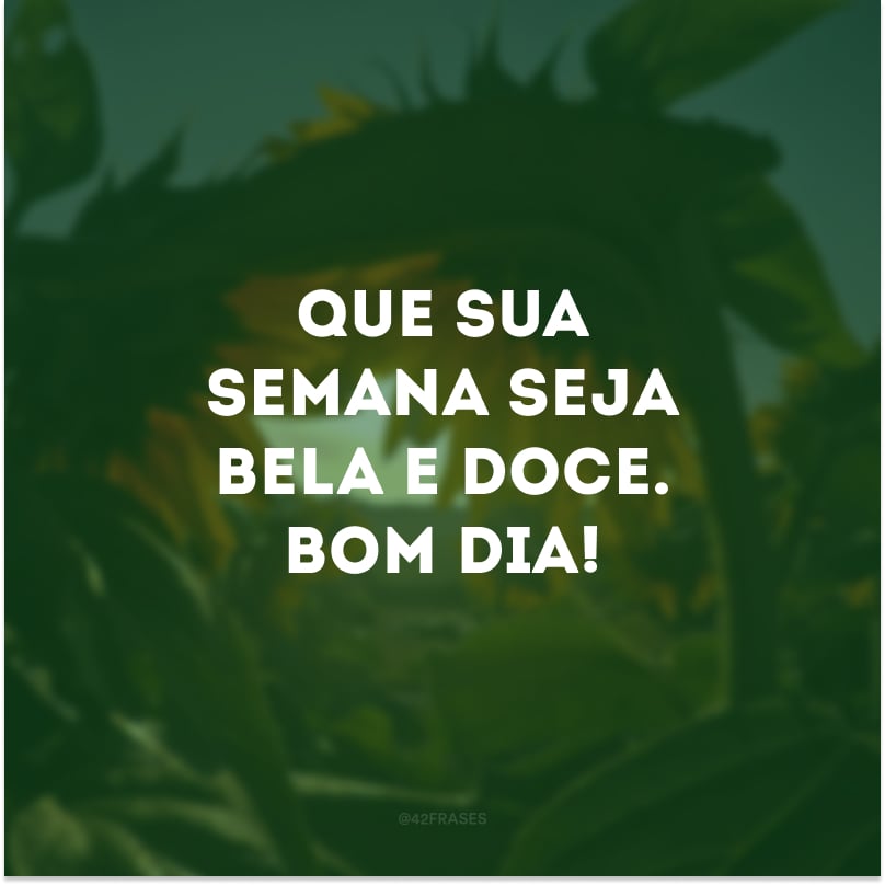 Que sua semana seja bela e doce. Bom dia!