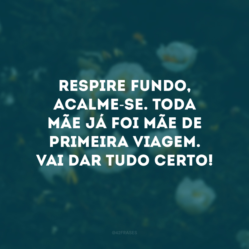 Respire fundo, acalme-se. Toda mãe já foi mãe de primeira viagem. Vai dar tudo certo! 