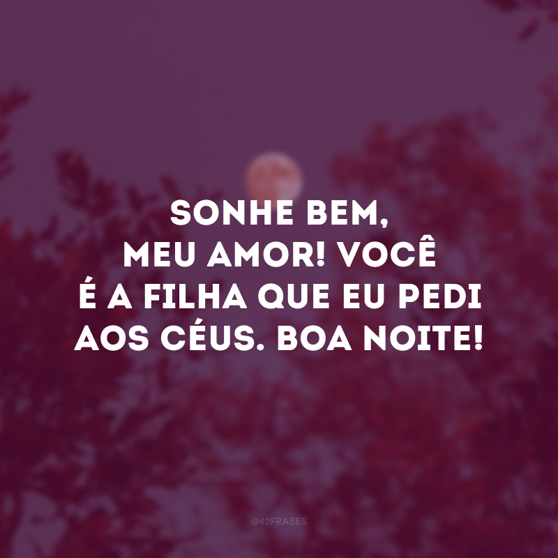 Sonhe bem, meu amor! Você é a filha que eu pedi aos céus. Boa noite!
