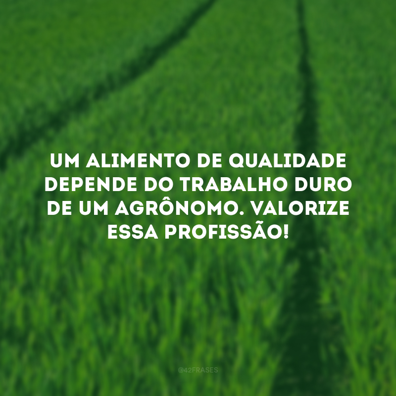 Um alimento de qualidade depende do trabalho duro de um agrônomo. Valorize essa profissão! 