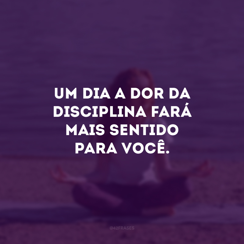 Um dia a dor da disciplina fará mais sentido para você.