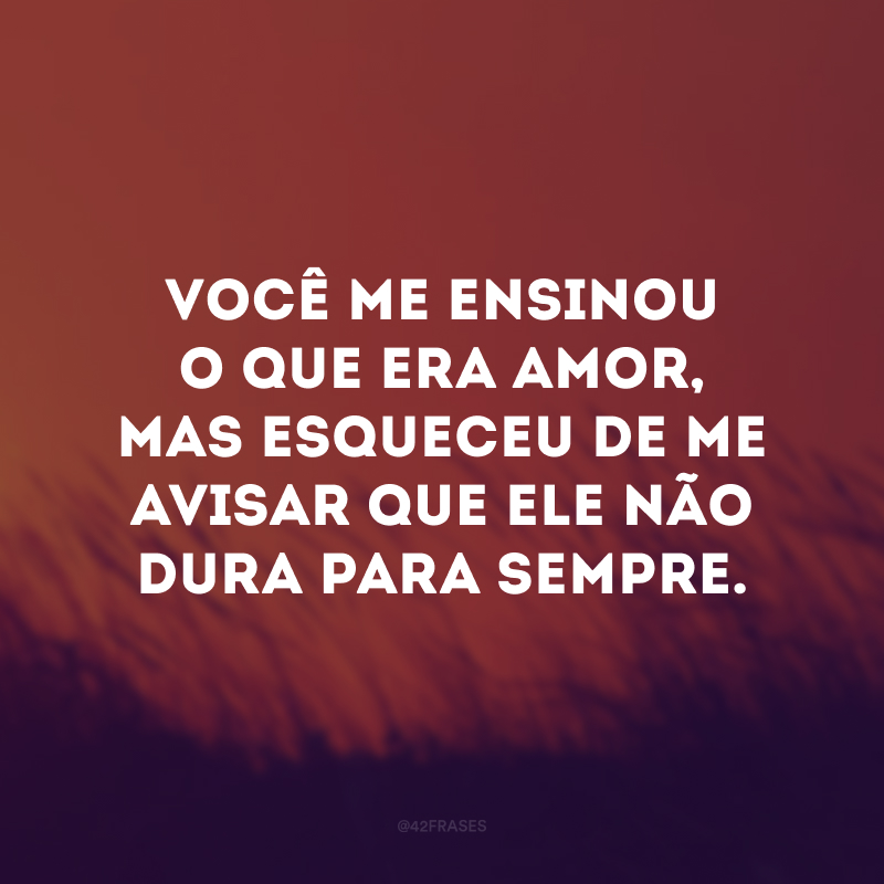 Você me ensinou o que era amor, mas esqueceu de me avisar que ele não dura para sempre. 
