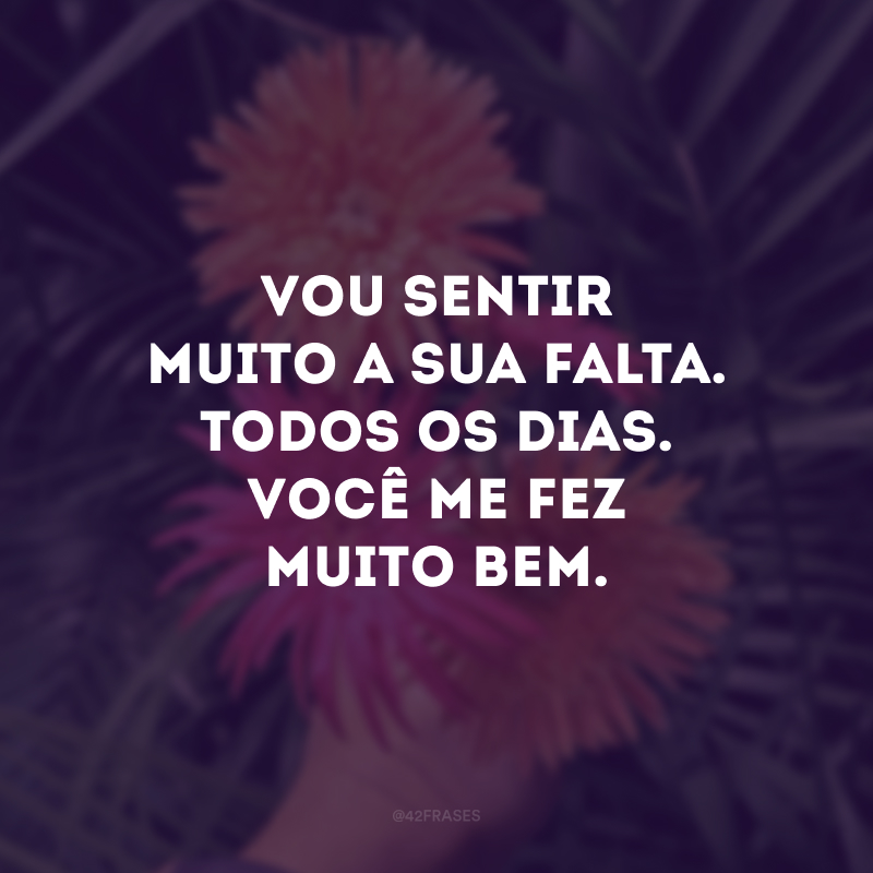 Vou sentir muito a sua falta. Todos os dias. Você me fez muito bem.