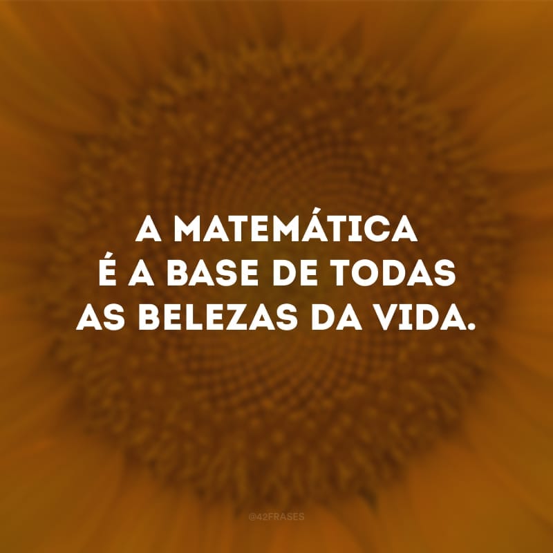 A matemática é a base de todas as belezas da vida.
